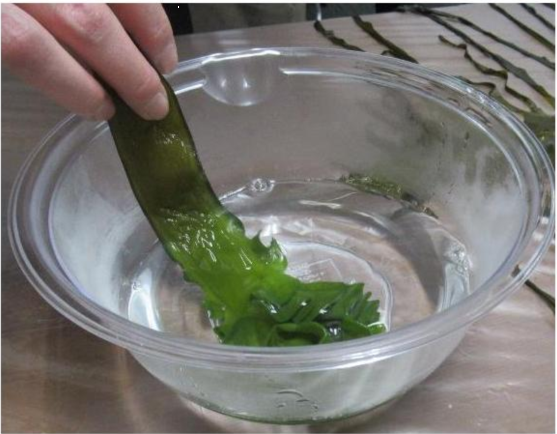 第28回食材塾　青果について